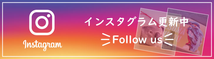 インスタグラム